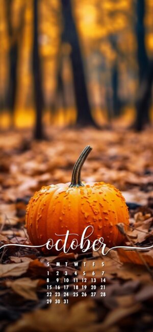 October Phone Wallpaper Pumpkin Forest