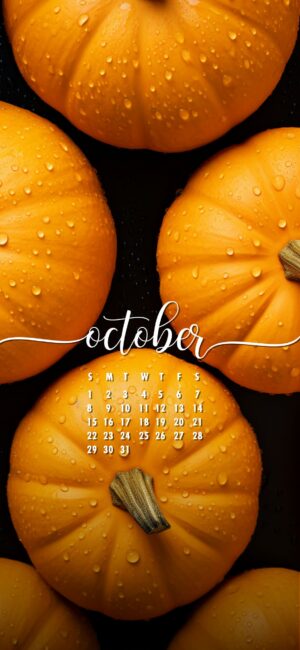 October Phone Wallpaper Pumpkins