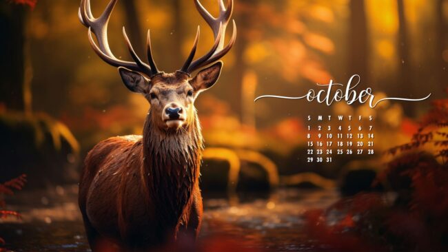 October Wallpaper Stag Forest