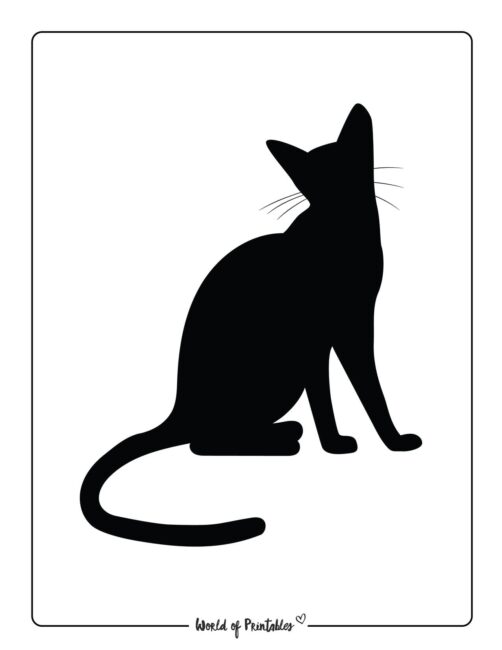 Printable Halloween Black Cat Template