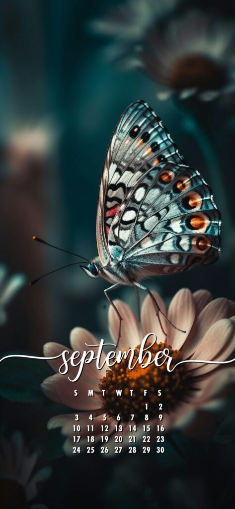 September Phone Wallpaper Butterfly