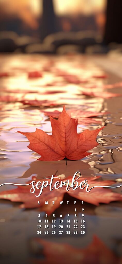 September Phone Wallpaper Fall Leaves