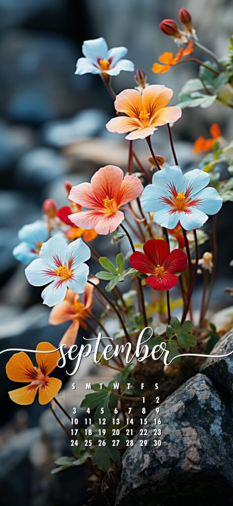 September Phone Wallpaper Flowers