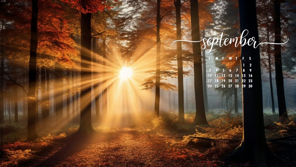 September Wallpaper Forest Sunset