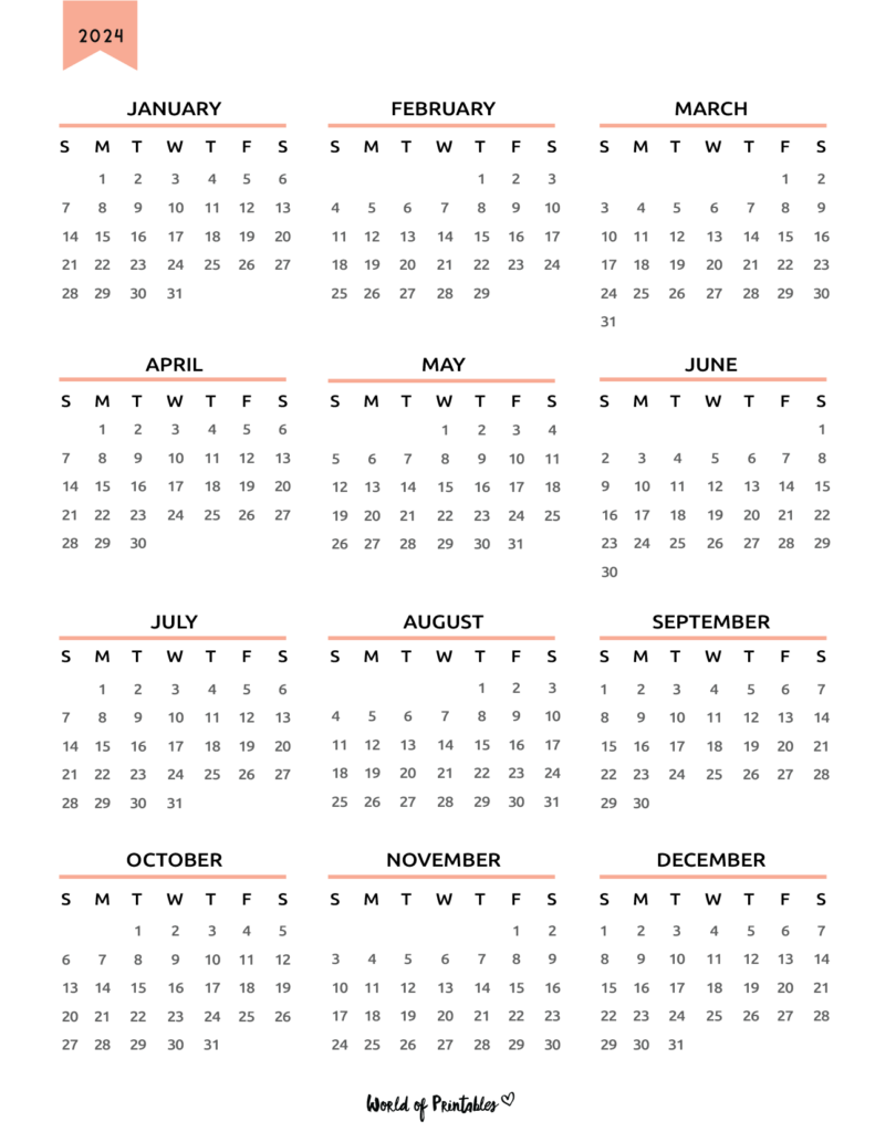 2024 Planner Year Calendar