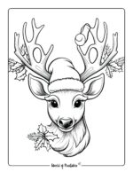 Reindeer Coloring Pages - World of Printables