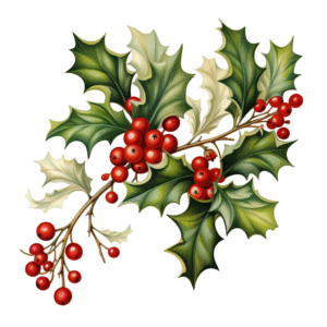 Christmas Holly Clipart - World of Printables