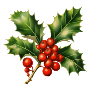 Christmas Holly Clipart - World of Printables