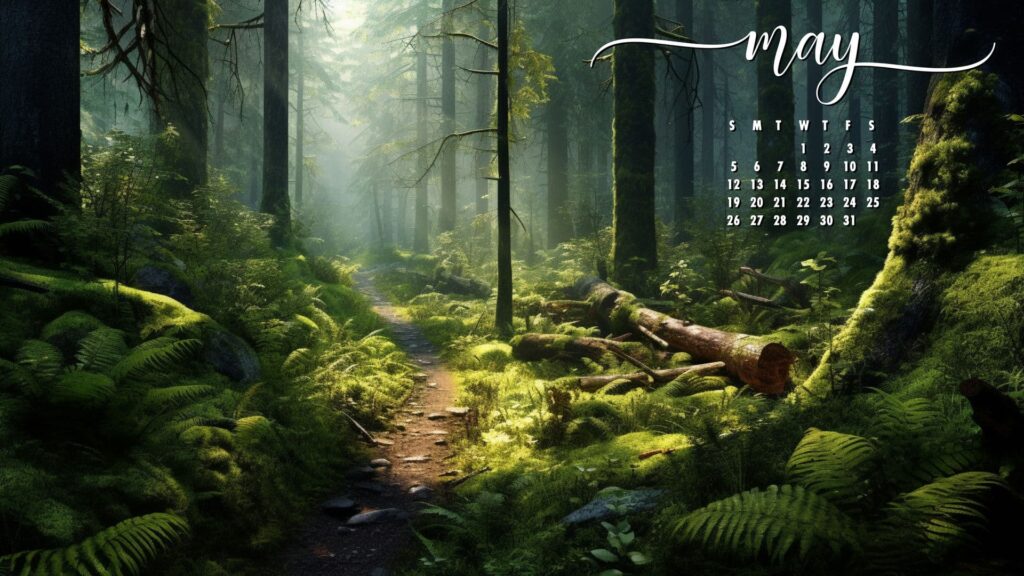 Forest May Background Wallpaper