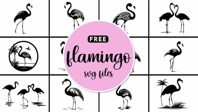 Free Flamingo SVG Files