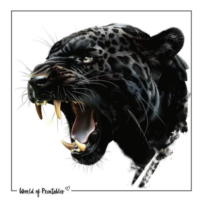 Black Jaguar Tattoo Designs-38