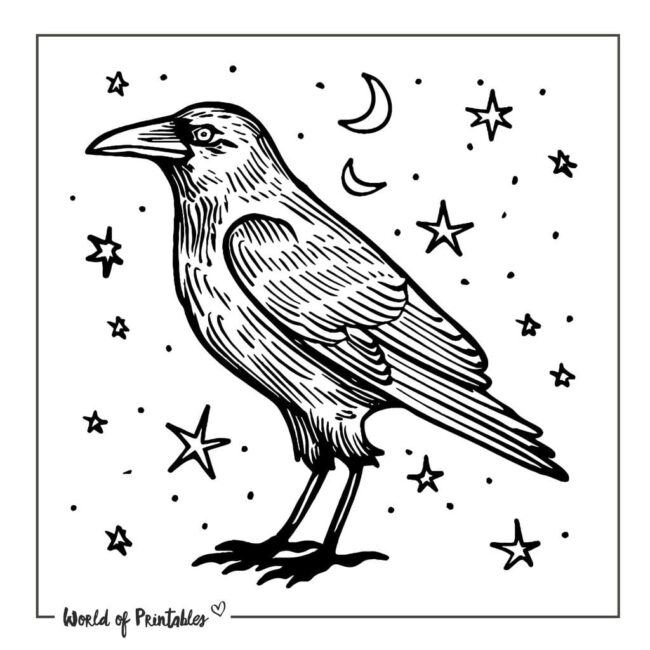 Celestial Crow Bird Tattoo Designs