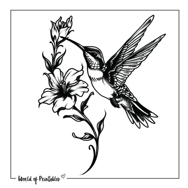 Colibri Bird Feeding Tattoo Designs