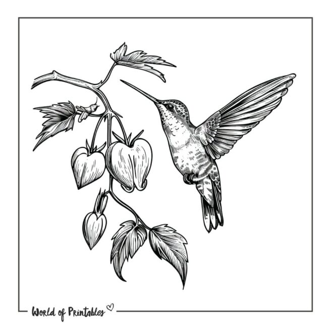 Colibri Bird and Bleeding Heart Flower Tattoo Designs