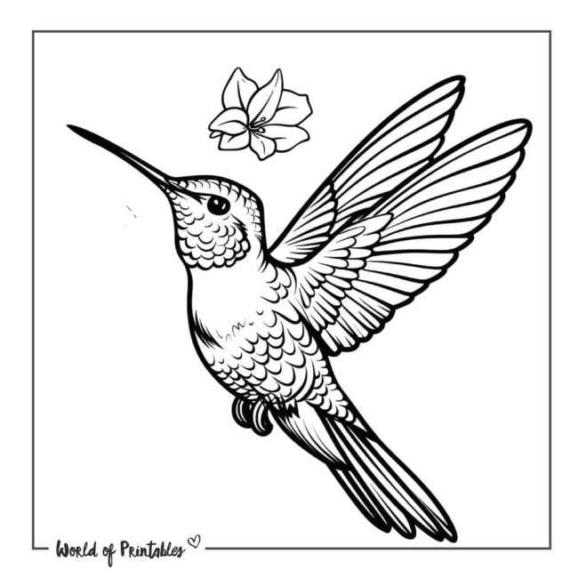Colibri Bird and Flower Tattoo Designs