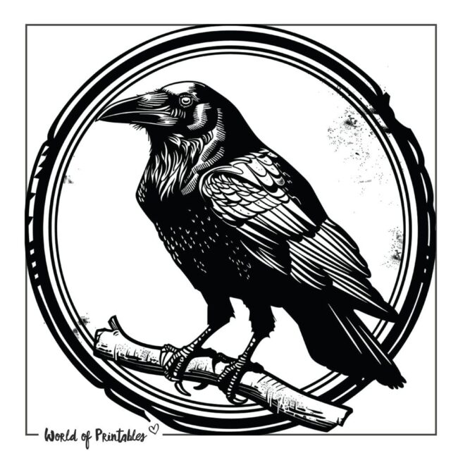 Cool Crow Bird Tattoo Designs