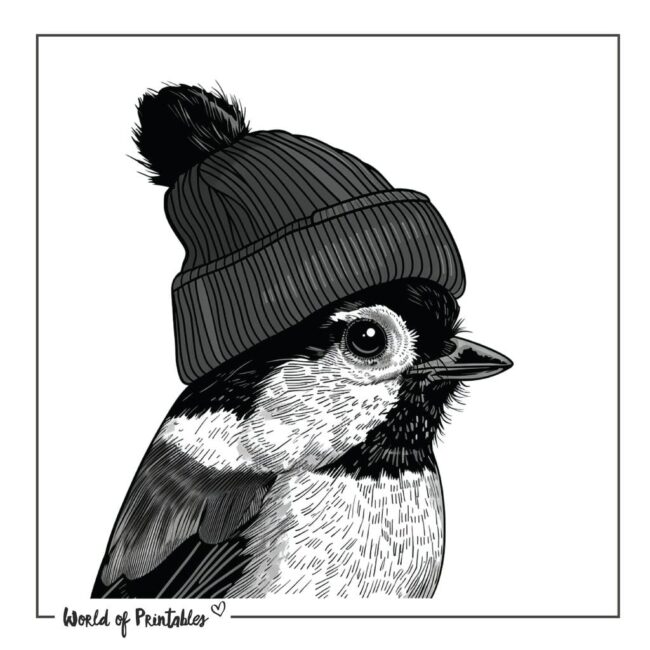 Cool Robin Tattoo Designs