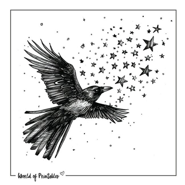 Crow Bird with Stars Tattoo Designs