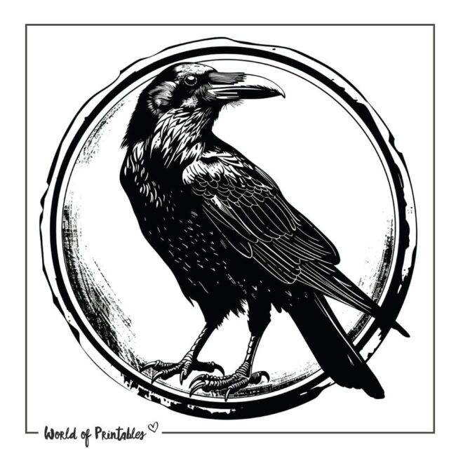 Crow and Circle Tattoo Designs