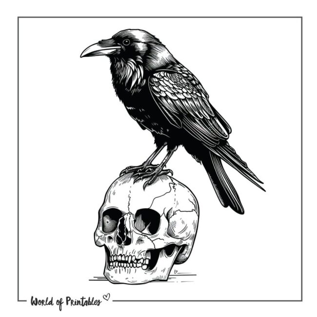 Crow on a Skull Tattoo Designs
