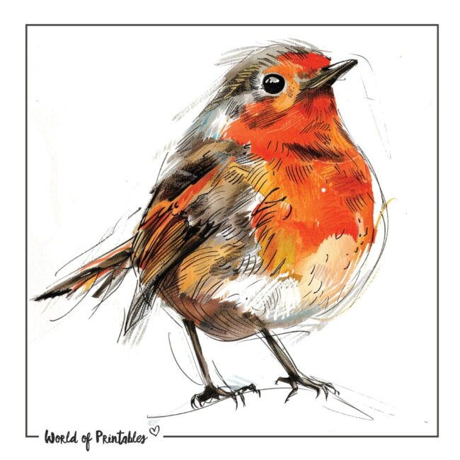 Cute Color Robin Tattoo Designs