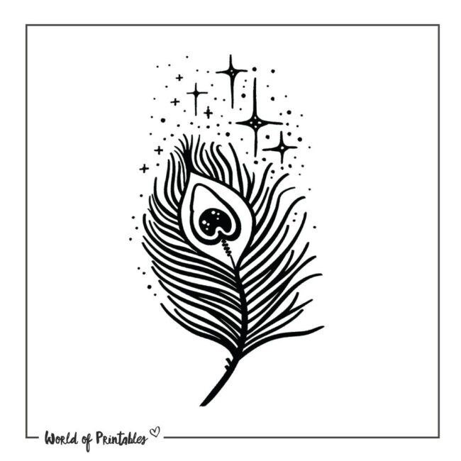 Cute Peacock Feather Tattoo Designs