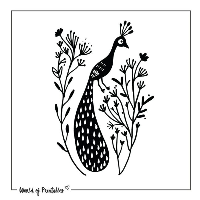 Cute Peacock Tattoo Designs