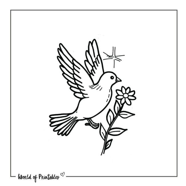 Dove Bird Tattoo Designs for Women