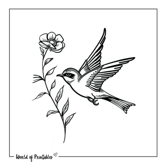 Dove Bird and Flower Tattoo Designs