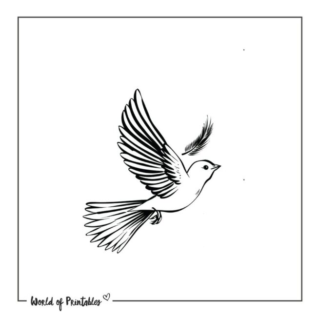 Dove and Feather Tattoo Designs