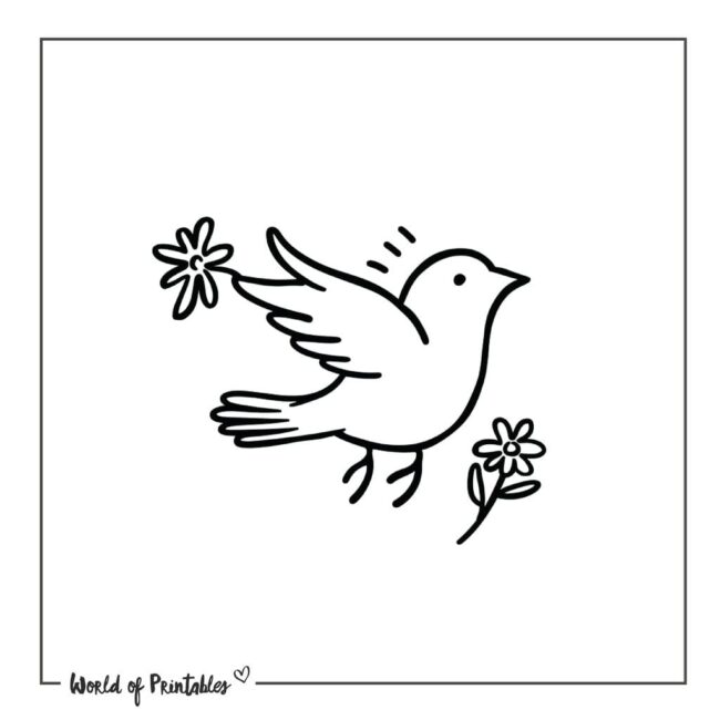 Dove and Flower Outline Tattoo Designs