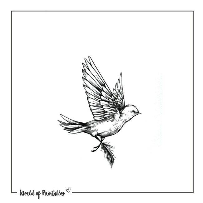 Feather and Dove Tattoo Designs