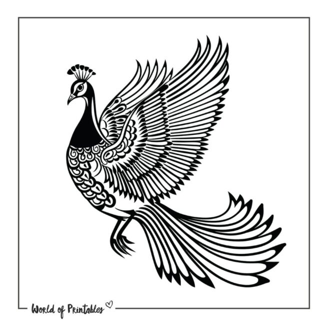 Flying Peacock Tattoo Designs
