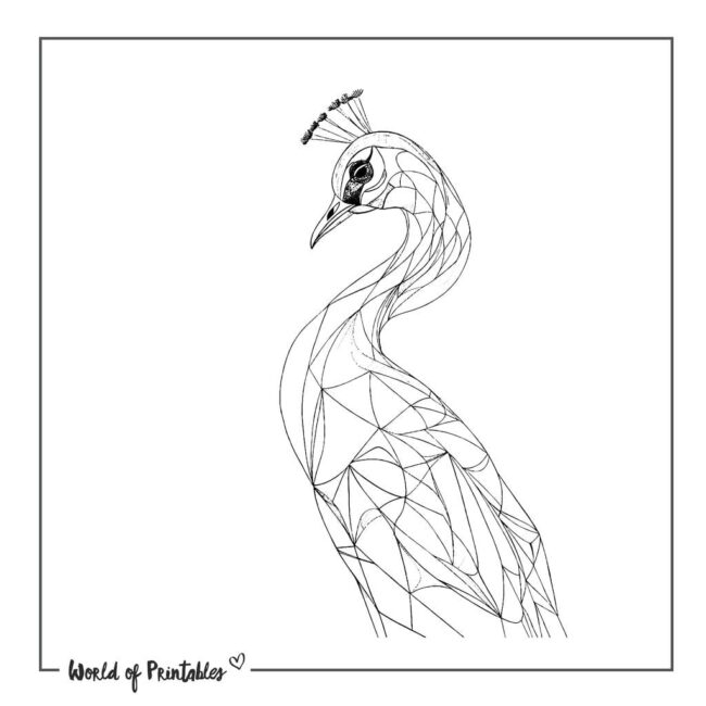 Geometric Peacock Tattoo Designs