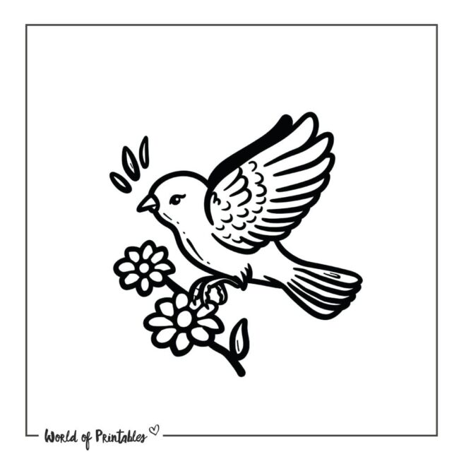 Illustrative Dove Tattoo Designs