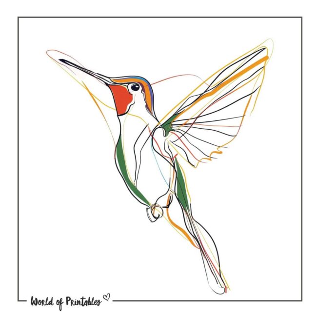 Line Art Colibri Bird Tattoo Designs
