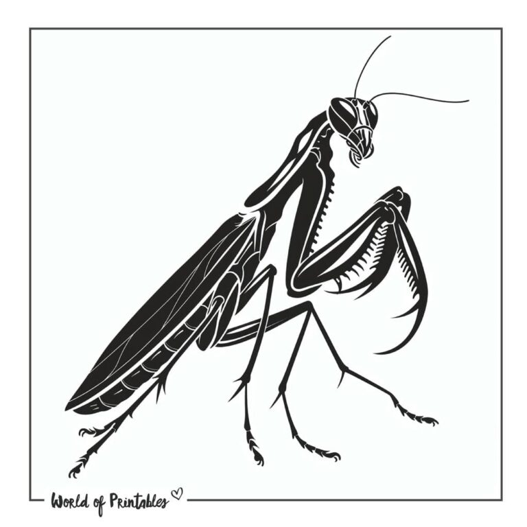 Bug Tattoo Designs - 75+ Printable Designs & Ideas - World of Printables