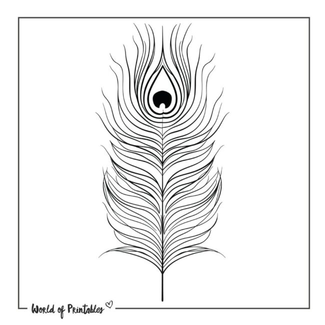 Peacock Feather Tattoo