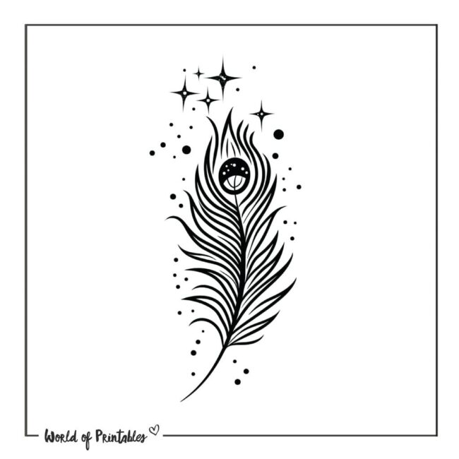 Peacock Feather and Stars Tattoo Designs
