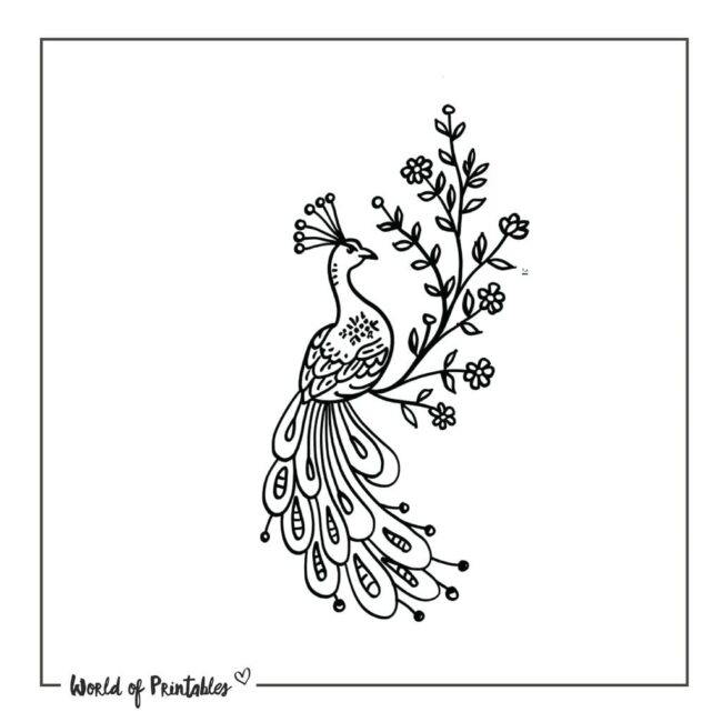 Peacock Tattoo 27