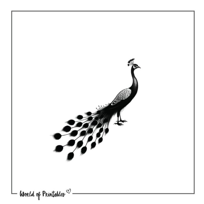 Peacock Tattoo 31