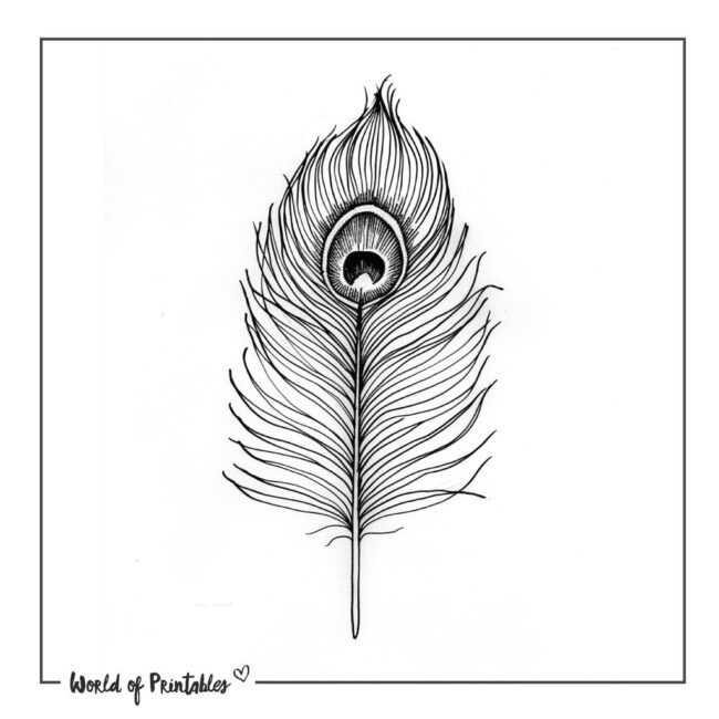 Peacock Tattoo 4