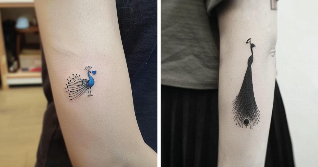 Peacock Tattoo Designs and Ideas