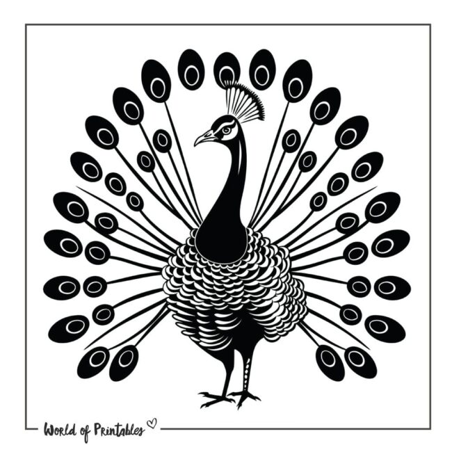 Peacock Tattoo Ideas