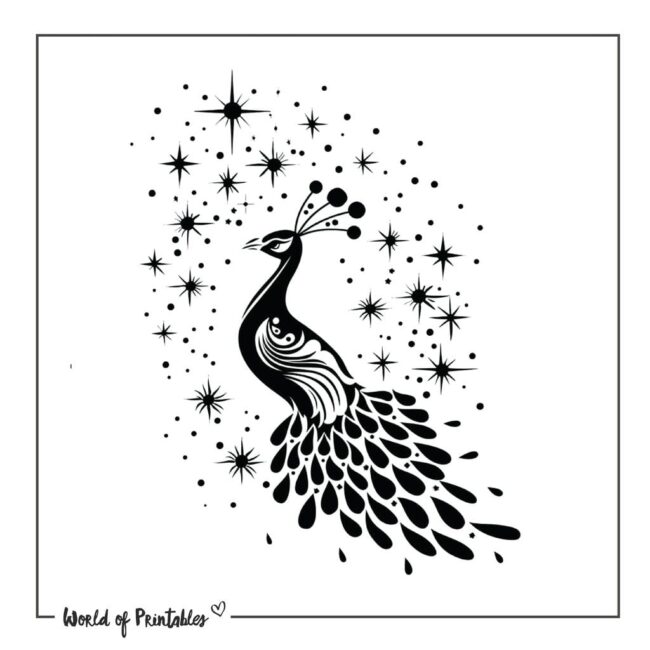 Peacock with Stars Tattoo Designs