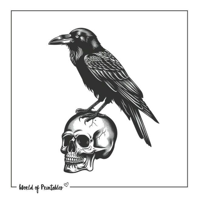 Raven Skull Tattoo Designs