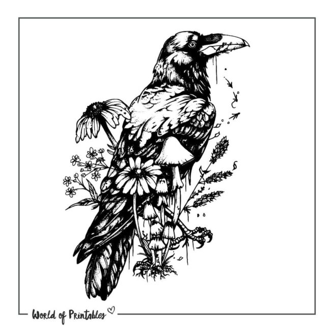 Raven Tattoo Designs-17