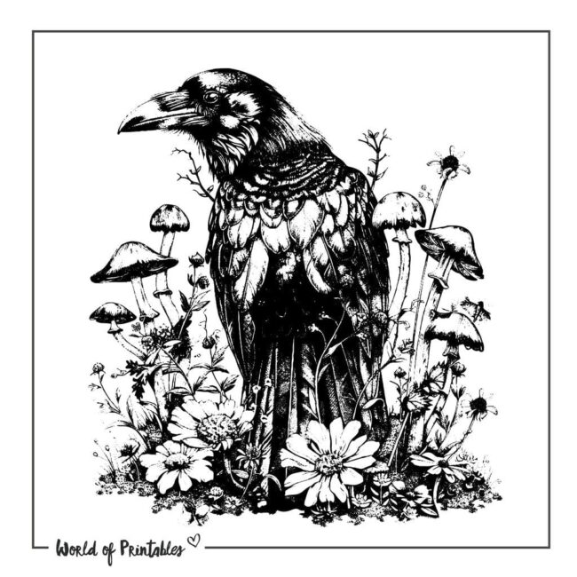 Raven Tattoo Designs-20