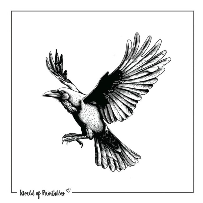 Raven Tattoo Designs-41