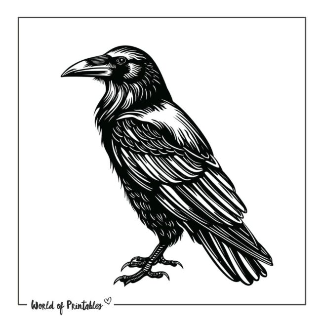 Raven Tattoo Designs-42